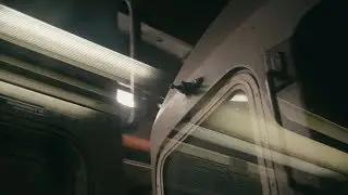 The City