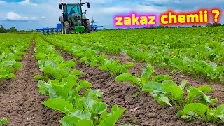 Jeśli zabiorą nam chemię 👉 pozostanie odchwaszczać ekologicznie pielnikiem Monosem [Korbanek]