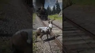POOR GOAT GOT HIT BY TRAIN 😭 #rdr2 #survivalskills #viral #gaming