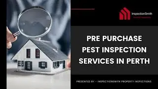 Pre Purchase Pest Inspection Services in Perth