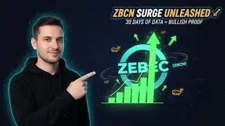 I Tracked Every Zebec (ZBCN) Transaction for 30 Days - Here's What I Found