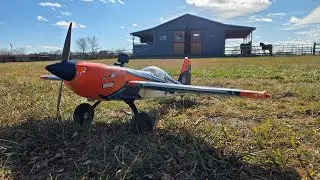 Extra 330sc + Bush wheels = Mo Fun!