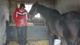 PUIU