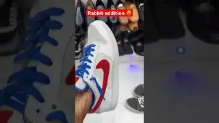Dunk low nike rabbit addition #shorts #nike
