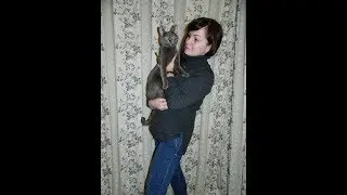 Свитер из пряжи DROPS 