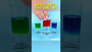 Why Don&rsquo;t These Waters Mix? Salt Water vs Fresh Water. Easy Density Experiment for Kids #experiment