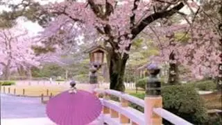 Afro-Asian (Culture/Traditions,Values and Tourist Spots of Japan)