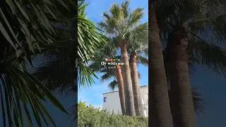 fly with me to spain 🇪🇸 #reisen #travel #vlog #spanien