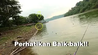 Casting Gabus Waduk Jatibarang Semarang, Air Kering Ikannya Malah Besar besar! #shimanocuradodc