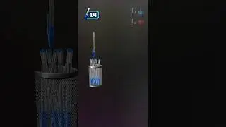 Pan competition