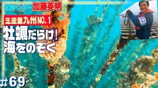 １万以上…牡蠣神殿みたいな海の中を覗く！糸島の養殖牡蠣はなぜ美味しいのか？≫ハンター加藤英明【玄界灘・福岡】