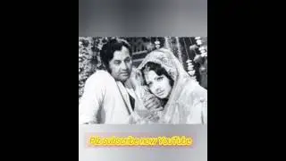 zeba , Muhammad Ali love image #shorts #zebaali #llolywood