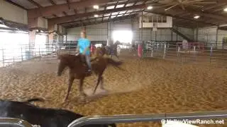 Sweet Alfalfa and Smart Timen - sorting practice #1 - Valley View Ranch