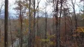 TIMBERIDGE BREVARD, NC