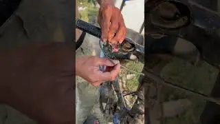 New experience