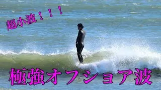 Longboard Surfing | Chiba, Japan