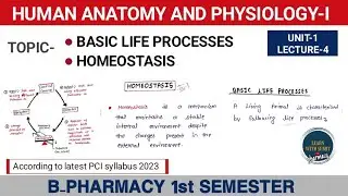 Homeostasis | Basic life processes | Unit-1 Human anatomy and physiology-I b pharm 1st semester