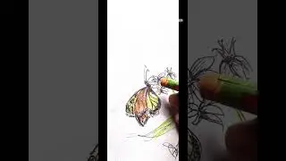 Pastel color of Butterfly 🦋। short video। video short।