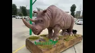 rhino