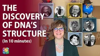 Visible Biology | Lesson 4: The Discovery of DNA&rsquo;s Structure