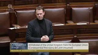 Deputy John Brady - Government Business - 06.03.2019
