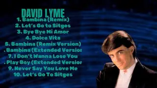 David Lyme-The ultimate hits anthology-Leading Hits Mix-Symmetrical