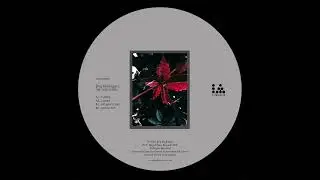 Jorg Rodriguez - Ladder ~ [IARLTDS008]