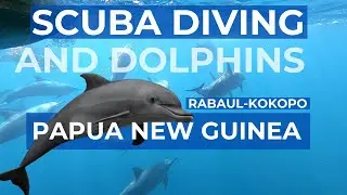 Scuba Diving in Rabaul Kokopo Papua New Guinea