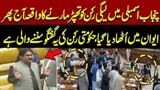 Heavy Fight In Punjab Assembly | Fiery Speech By PMLN Leader | Pakistan News
