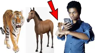 Wildlife AR Android Apps for Kids Education 2020 in English