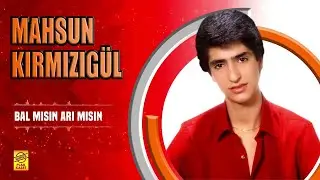 Mahsun Kırmızıgül - Bal mısın Arı mısın (Official Audio)