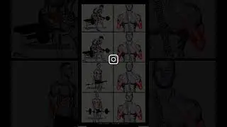 Easy and Effective forearm workout @Fitboyprashant