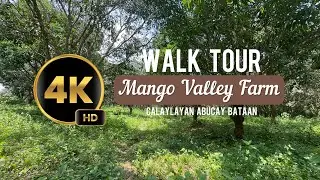[4K] Mango Valley Farm | Sale Walk Tour | Calaylayan Abucay Bataan Philippines 🇵🇭