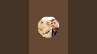MUSAKBULUT kanalı canlı yayında