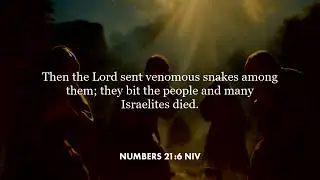 Numbers 21:6 (NIV)