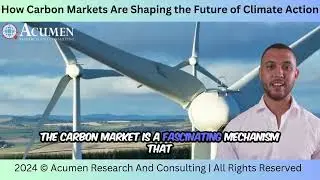 Understanding Carbon Markets: The Key to Reducing Global Emissions