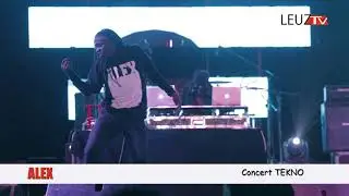 Vid&eacute;o: Waouh !!! Alex assure le show au concert Tekno