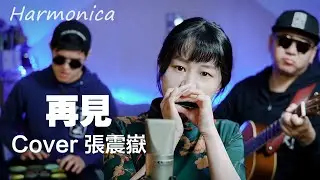 口琴Harmonica演奏《再见》｜一首歌告别2021年的遗憾【吹口琴的小园园】