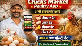आज का पोल्ट्री रेट | Egg Rate Today | Broiler Chicks Layer Rate | Chicks Market App