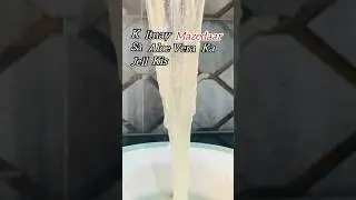 How to Extract Aloe Vera Gel | Fresh & Easy Method ✨