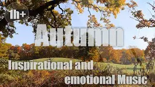 +1h Inspirational and emotional Music to help you relax and enjoy a nice moment 💚