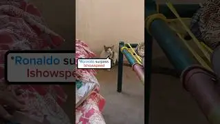 Kitty is very happy😁 today#urcr #cat #catfl&iuml;x #kitten #minivlog #thanks