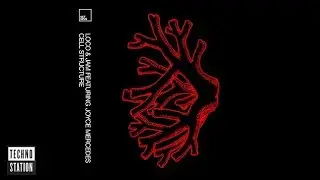 Loco & Jam - Your Experience