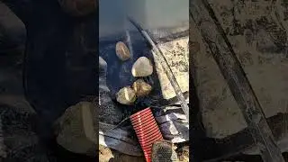 биоплато и пруд
