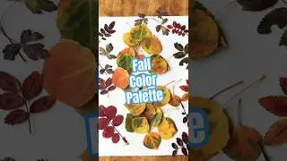 Which Nature Color Palette is Best??