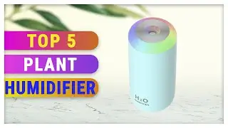 Top 5 Best Plant Humidifier