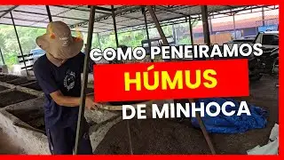 Como peneiramos o húmus. No passado e presente. 