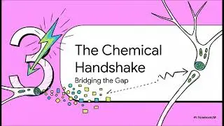 PSYC 2301 Ch 2 The Biological Perspective Video Summary