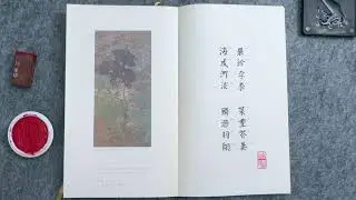 Relaxing Chinese Calligraphy Meditation for Stress Relief 中国书法