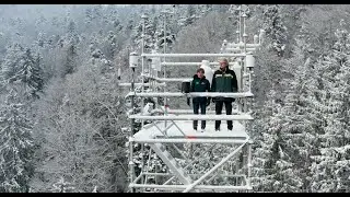 Wasser für den Wald